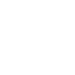 icon-secure-environment-white.png